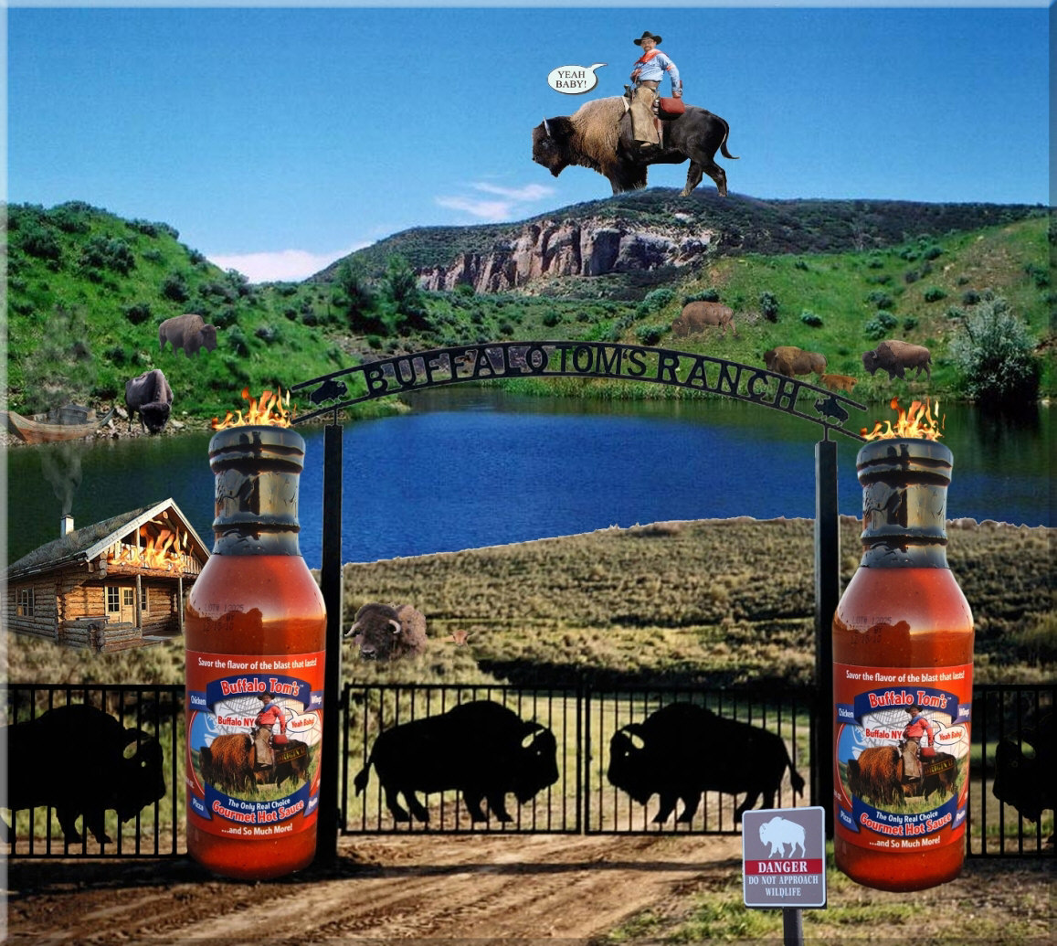 Click to Enter Buffalo Tom's General store is officialy open for business.